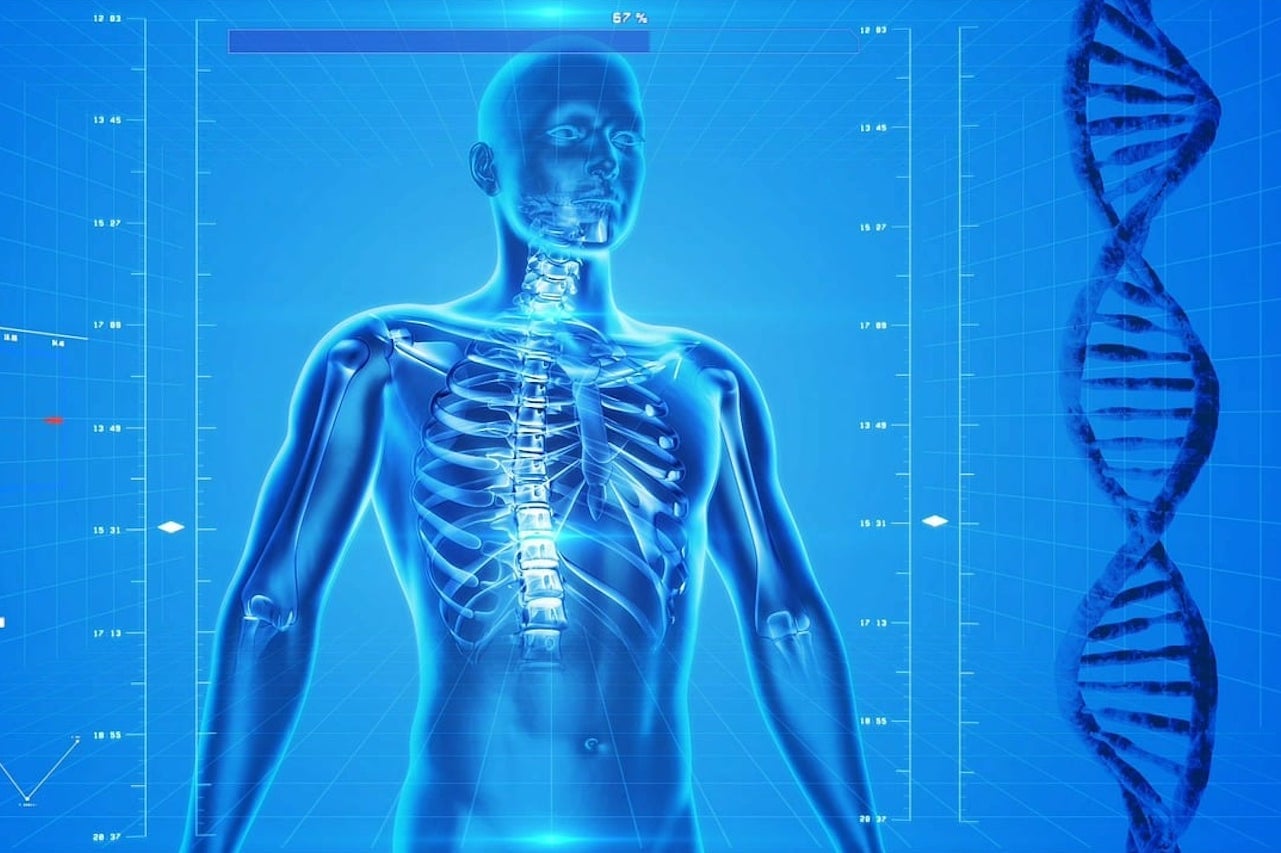 human-skeleton-163715_1280